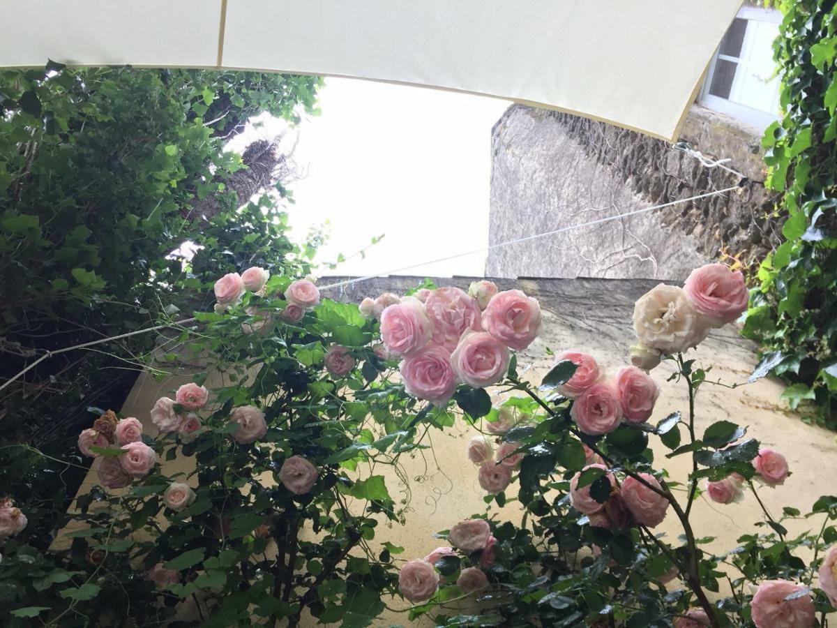 シュズ・ラ・ルッス Les Aiguieres En Provence Bed & Breakfast エクステリア 写真